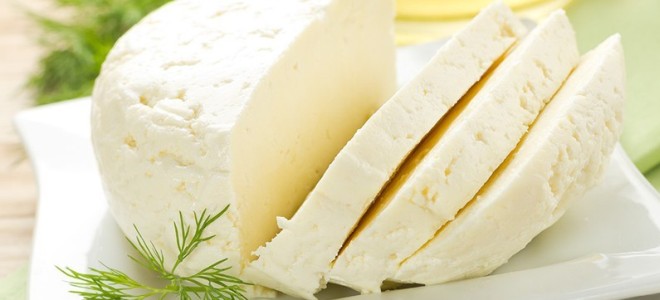 Как сохранить адыгейский сыр
