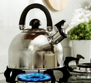 9 лучших чайников для газовой плиты