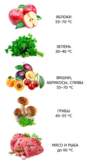 правильная температура нагрева продуктов в электрической сушилке для овощей и фруктов.