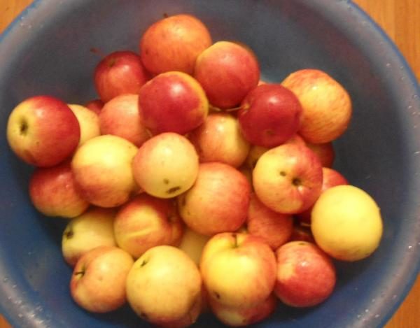 Яблочное пюре — 8 самых простых рецептов на зиму этап 12