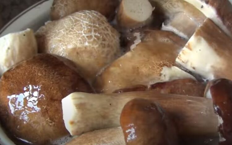 Вкусный простой рецепт маринованных белых грибов с уксусом