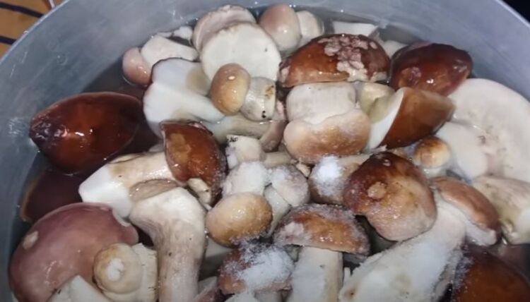 как мариновать белые грибы на зиму в банках по простому рецепту