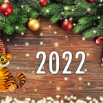 Что дарить на Новый 2022 год Тигра, Сценарий на Новый 2022 год Тигра для веселой взрослой компании
